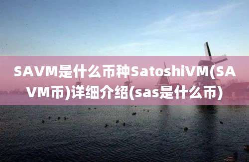 SAVM是什么币种SatoshiVM(SAVM币)详细介绍(sas是什么币)