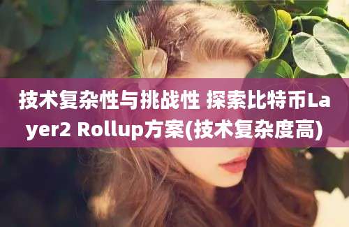 技术复杂性与挑战性 探索比特币Layer2 Rollup方案(技术复杂度高)