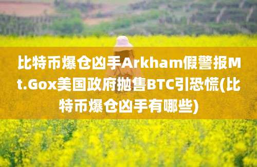 比特币爆仓凶手Arkham假警报Mt.Gox美国政府抛售BTC引恐慌(比特币爆仓凶手有哪些)