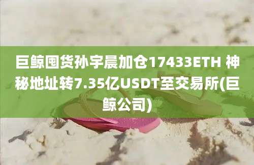 巨鲸囤货孙宇晨加仓17433ETH 神秘地址转7.35亿USDT至交易所(巨鲸公司)