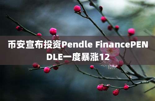 币安宣布投资Pendle FinancePENDLE一度暴涨12