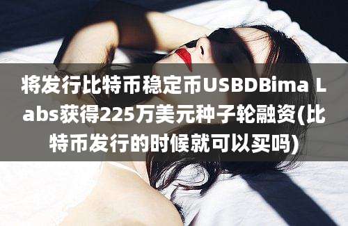 将发行比特币稳定币USBDBima Labs获得225万美元种子轮融资(比特币发行的时候就可以买吗)