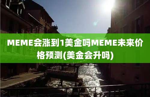 MEME会涨到1美金吗MEME未来价格预测(美金会升吗)