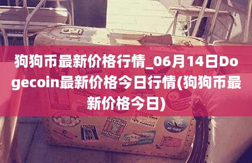 狗狗币最新价格行情_06月14日Dogecoin最新价格今日行情(狗狗币最新价格今日)