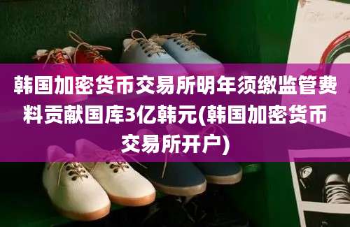 韩国加密货币交易所明年须缴监管费料贡献国库3亿韩元(韩国加密货币交易所开户)