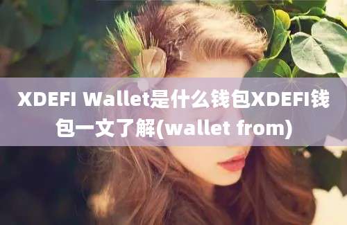 XDEFI Wallet是什么钱包XDEFI钱包一文了解(wallet from)