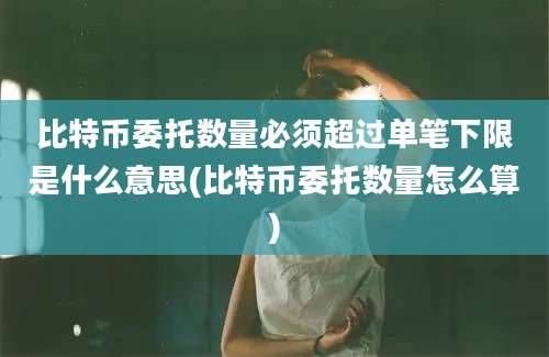 比特币委托数量必须超过单笔下限是什么意思(比特币委托数量怎么算)