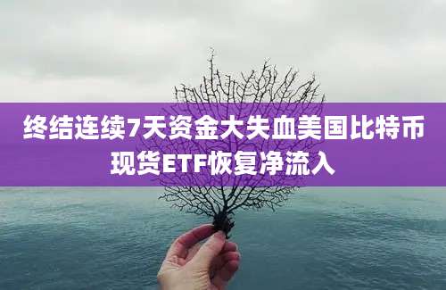 终结连续7天资金大失血美国比特币现货ETF恢复净流入