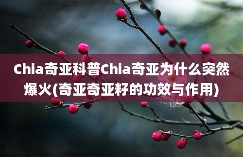 Chia奇亚科普Chia奇亚为什么突然爆火(奇亚奇亚籽的功效与作用)