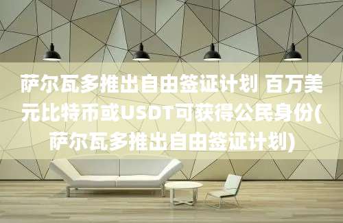 萨尔瓦多推出自由签证计划 百万美元比特币或USDT可获得公民身份(萨尔瓦多推出自由签证计划)