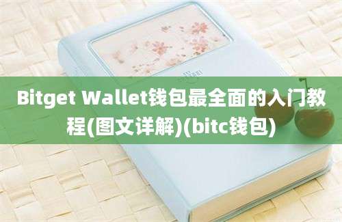 Bitget Wallet钱包最全面的入门教程(图文详解)(bitc钱包)