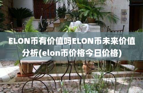 ELON币有价值吗ELON币未来价值分析(elon币价格今日价格)