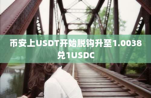 币安上USDT开始脱钩升至1.0038兑1USDC