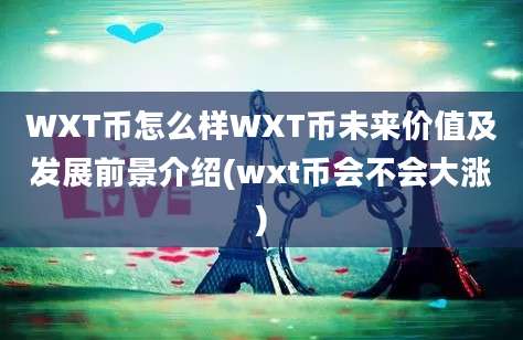 WXT币怎么样WXT币未来价值及发展前景介绍(wxt币会不会大涨)