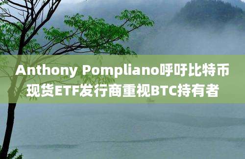 Anthony Pompliano呼吁比特币现货ETF发行商重视BTC持有者