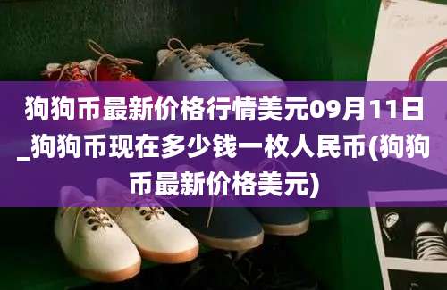 狗狗币最新价格行情美元09月11日_狗狗币现在多少钱一枚人民币(狗狗币最新价格美元)