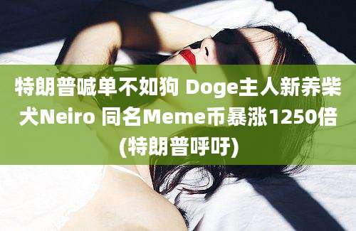 特朗普喊单不如狗 Doge主人新养柴犬Neiro 同名Meme币暴涨1250倍(特朗普呼吁)