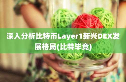 深入分析比特币Layer1新兴DEX发展格局(比特毕竟)