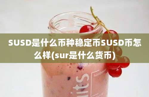 SUSD是什么币种稳定币SUSD币怎么样(sur是什么货币)