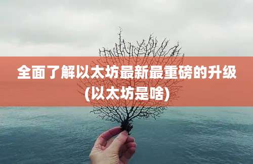 全面了解以太坊最新最重磅的升级(以太坊是啥)