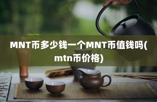 MNT币多少钱一个MNT币值钱吗(mtn币价格)