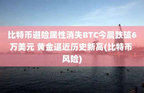 比特币避险属性消失BTC今晨跌破6万美元 黄金逼近历史新高(比特币 风险)