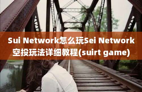 Sui Network怎么玩Sei Network空投玩法详细教程(suirt game)