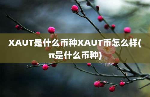 XAUT是什么币种XAUT币怎么样(π是什么币种)