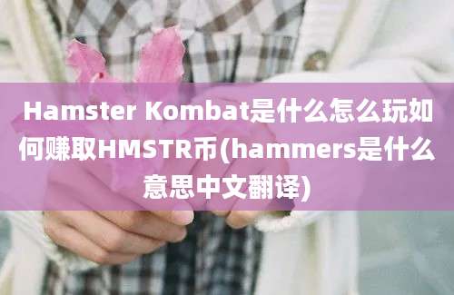 Hamster Kombat是什么怎么玩如何赚取HMSTR币(hammers是什么意思中文翻译)