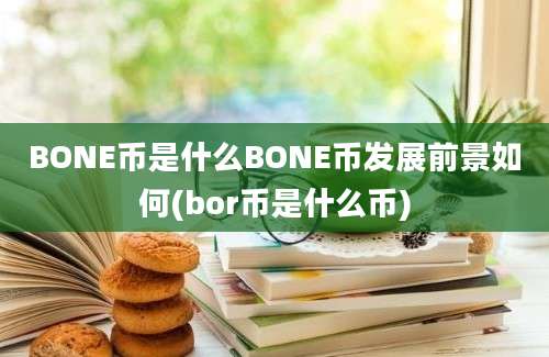 BONE币是什么BONE币发展前景如何(bor币是什么币)