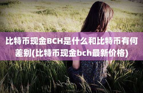 比特币现金BCH是什么和比特币有何差别(比特币现金bch最新价格)