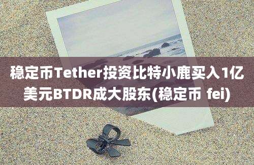 稳定币Tether投资比特小鹿买入1亿美元BTDR成大股东(稳定币 fei)