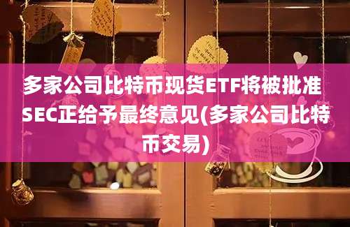 多家公司比特币现货ETF将被批准 SEC正给予最终意见(多家公司比特币交易)