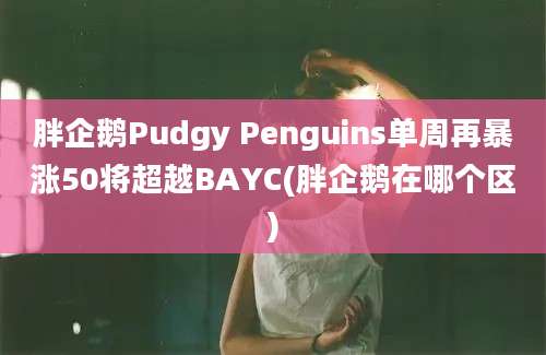 胖企鹅Pudgy Penguins单周再暴涨50将超越BAYC(胖企鹅在哪个区)