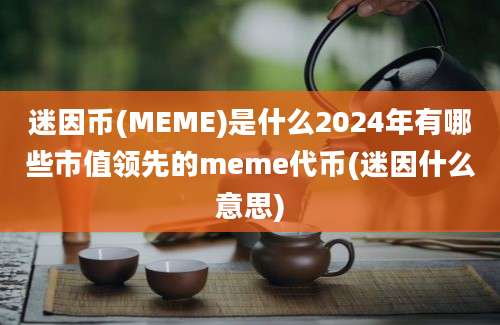 迷因币(MEME)是什么2024年有哪些市值领先的meme代币(迷因什么意思)