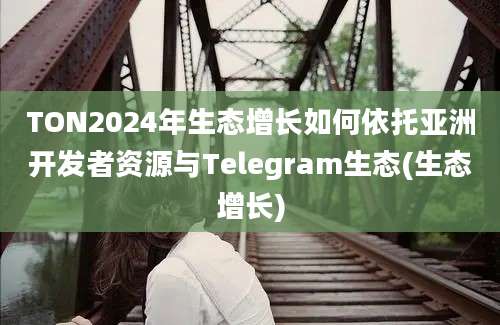 TON2024年生态增长如何依托亚洲开发者资源与Telegram生态(生态增长)