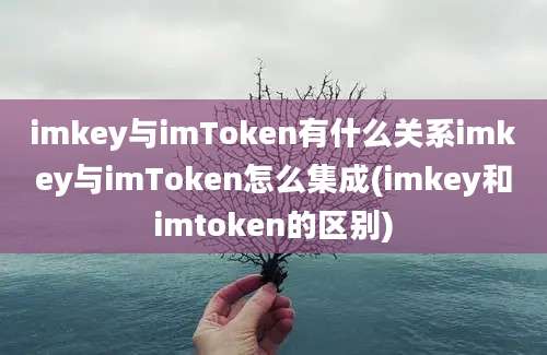 imkey与imToken有什么关系imkey与imToken怎么集成(imkey和imtoken的区别)