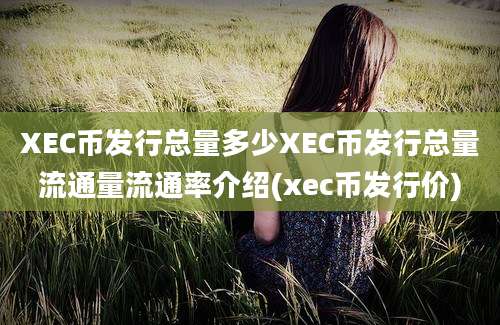 XEC币发行总量多少XEC币发行总量流通量流通率介绍(xec币发行价)