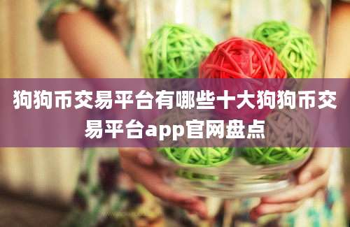 狗狗币交易平台有哪些十大狗狗币交易平台app官网盘点