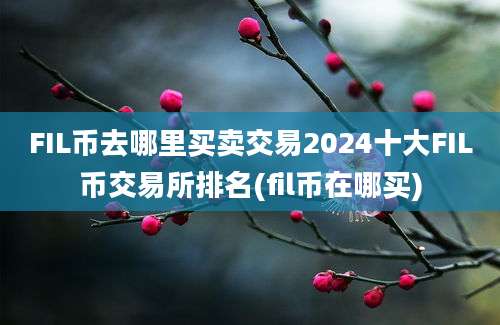 FIL币去哪里买卖交易2024十大FIL币交易所排名(fil币在哪买)