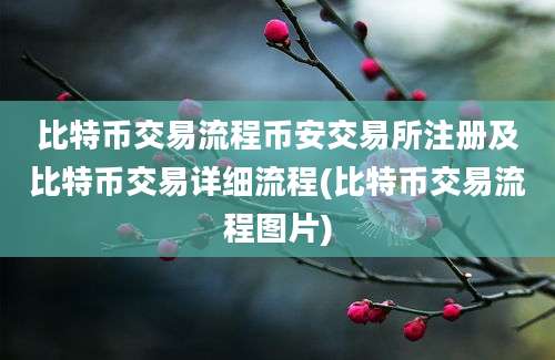 比特币交易流程币安交易所注册及比特币交易详细流程(比特币交易流程图片)