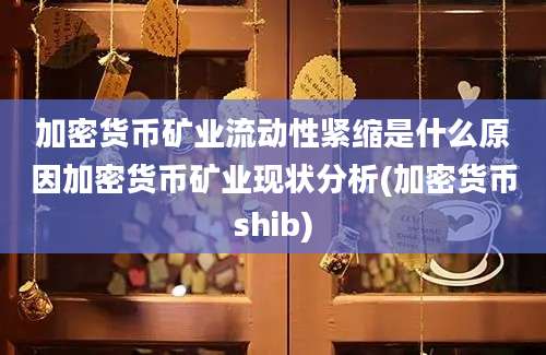 加密货币矿业流动性紧缩是什么原因加密货币矿业现状分析(加密货币shib)