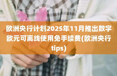 欧洲央行计划2025年11月推出数字欧元可离线使用免手续费(欧洲央行tips)