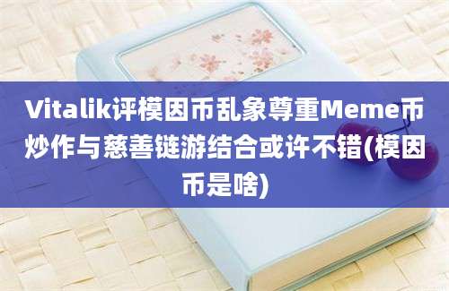 Vitalik评模因币乱象尊重Meme币炒作与慈善链游结合或许不错(模因币是啥)