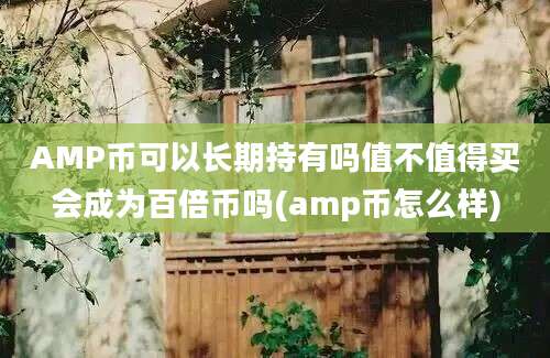 AMP币可以长期持有吗值不值得买会成为百倍币吗(amp币怎么样)