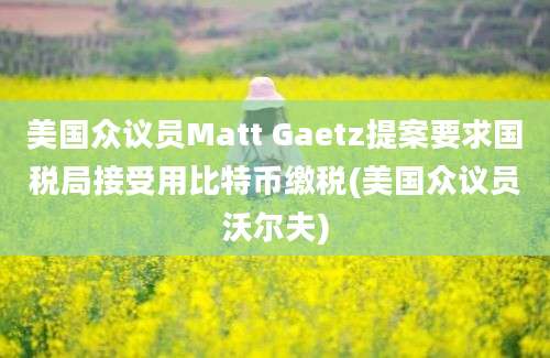 美国众议员Matt Gaetz提案要求国税局接受用比特币缴税(美国众议员沃尔夫)