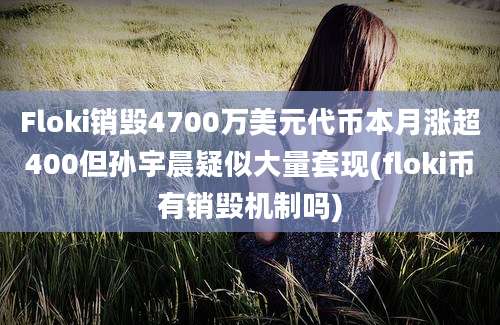 Floki销毁4700万美元代币本月涨超400但孙宇晨疑似大量套现(floki币有销毁机制吗)