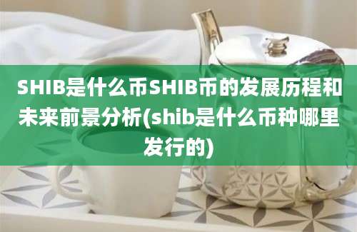 SHIB是什么币SHIB币的发展历程和未来前景分析(shib是什么币种哪里发行的)