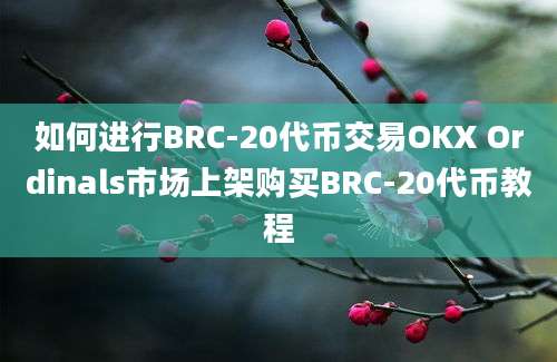 如何进行BRC-20代币交易OKX Ordinals市场上架购买BRC-20代币教程