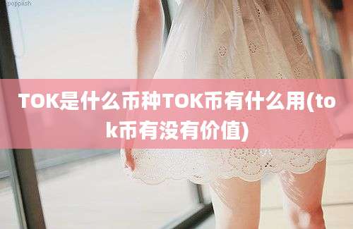 TOK是什么币种TOK币有什么用(tok币有没有价值)